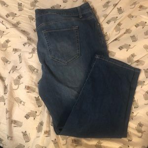 Terra and sky jean Capri